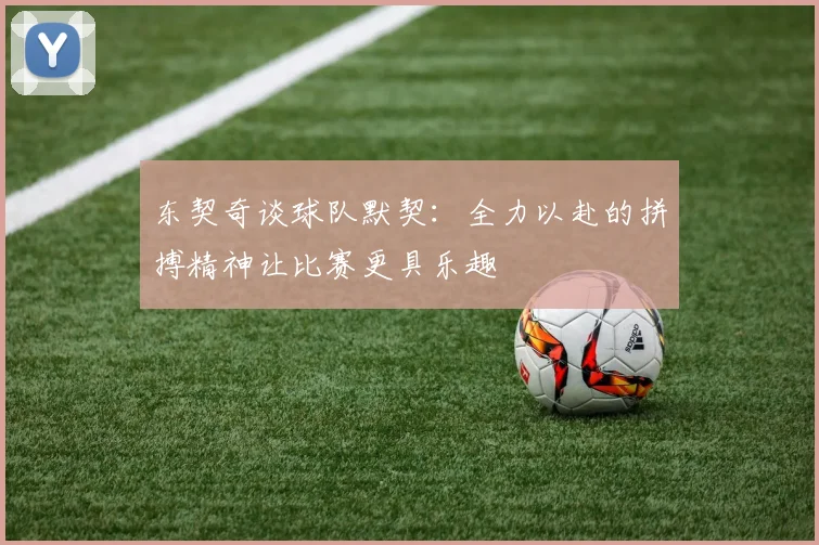 东契奇谈球队默契：全力以赴的拼搏精神让比赛更具乐趣