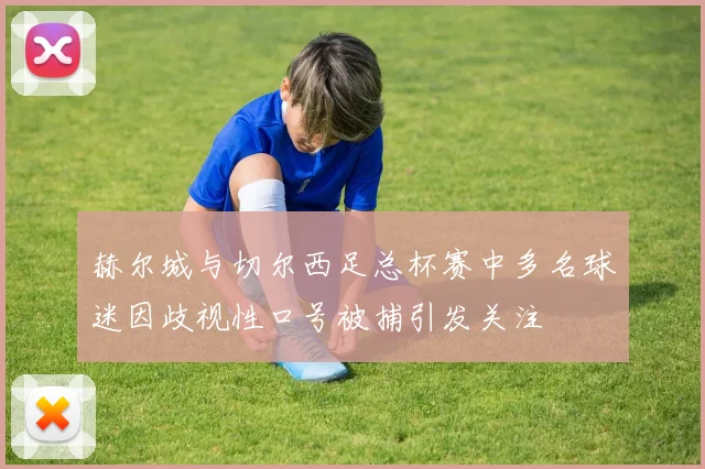 赫尔城与切尔西足总杯赛中多名球迷因歧视性口号被捕引发关注